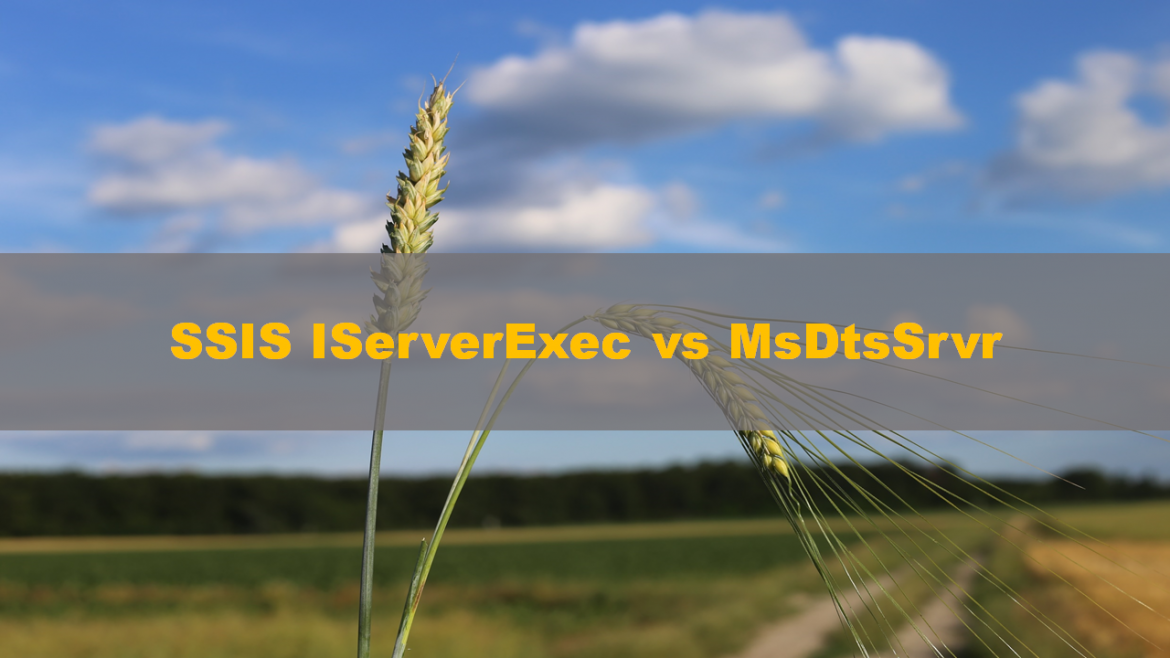 SSIS IServerExec vs MsDtsSrvr