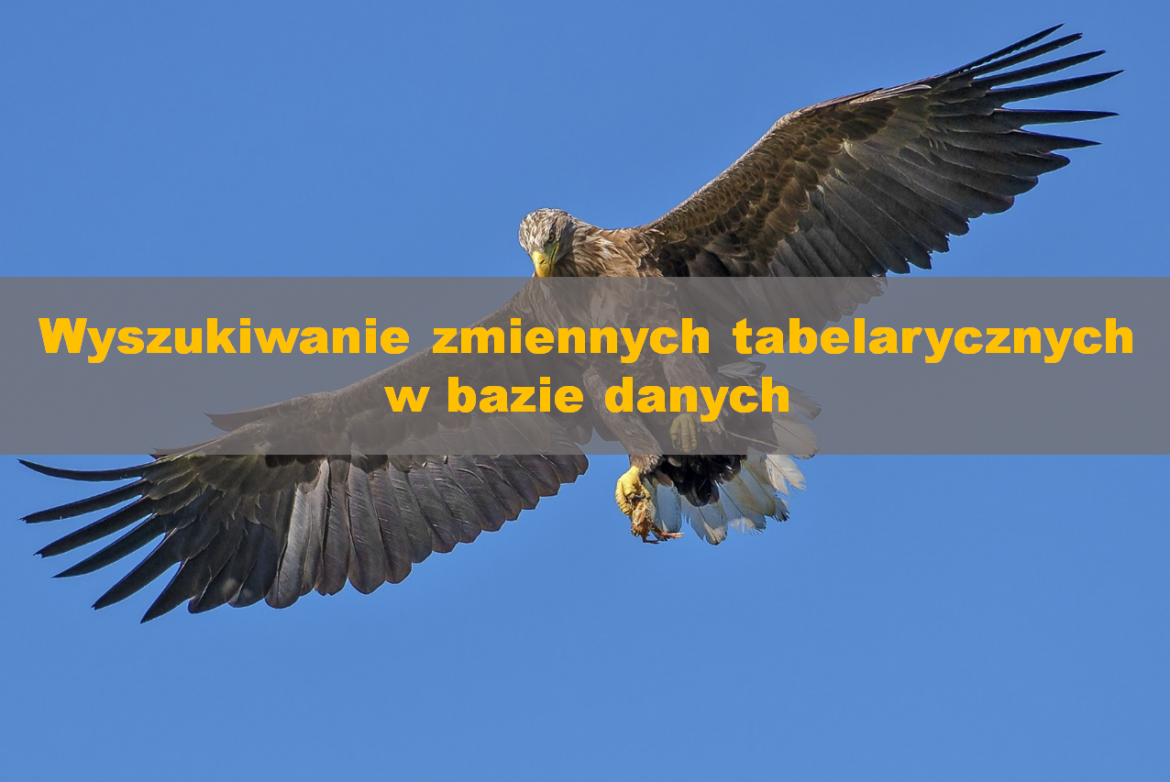 zmienne_tabelaryczne_banner