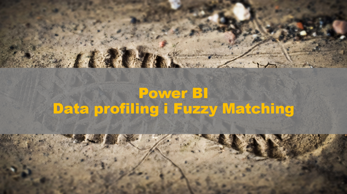 PowerBI_Profiling_FuzzyMatching_00
